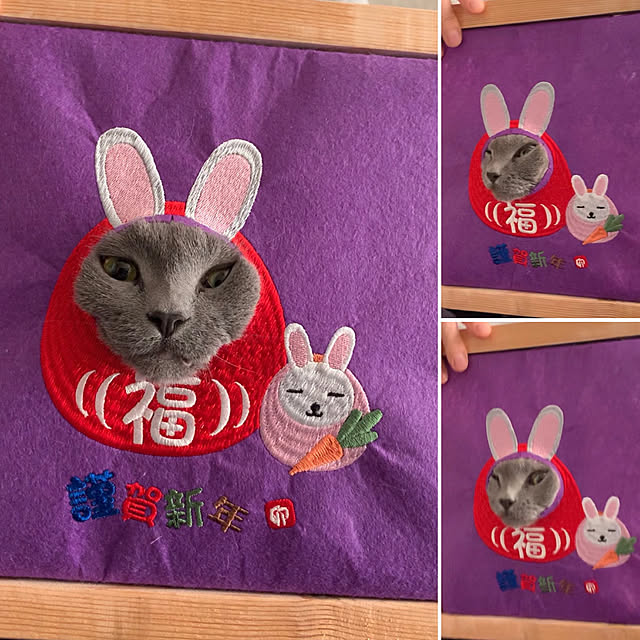 きんこちゃん/こたつには入らない/膝の上には乗らない/猫/猫と暮らす家...などのインテリア実例 - 2023-01-01 08:06:50