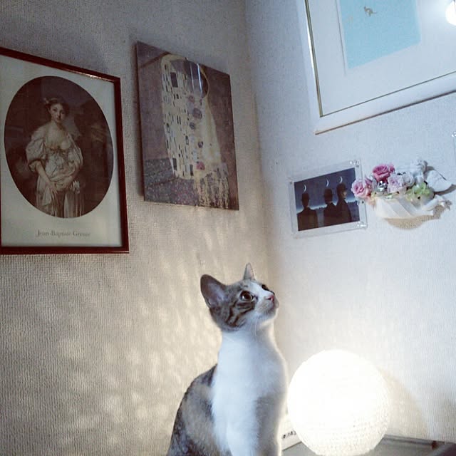 milk_vivienneさんの実例写真