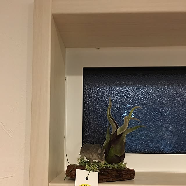 pippiさんの実例写真