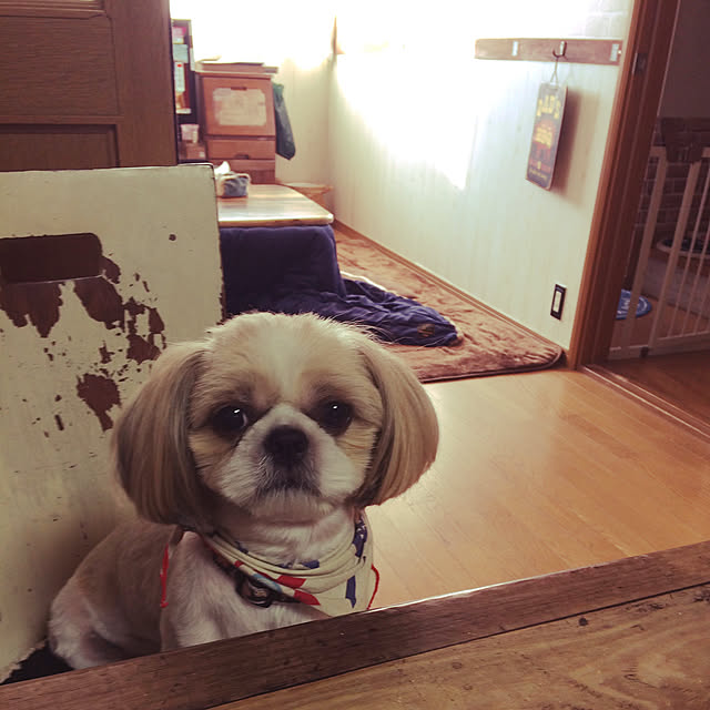 tomoさんの実例写真