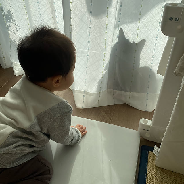 mikomaruさんの実例写真