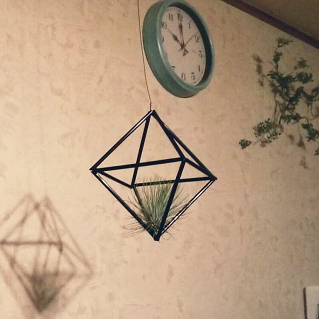 Tillandsiaさんの実例写真