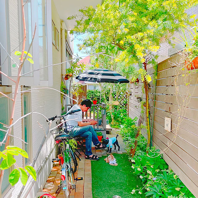 risaさんの実例写真