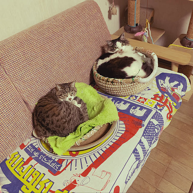 実例写真