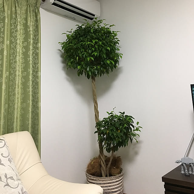 satoさんの実例写真