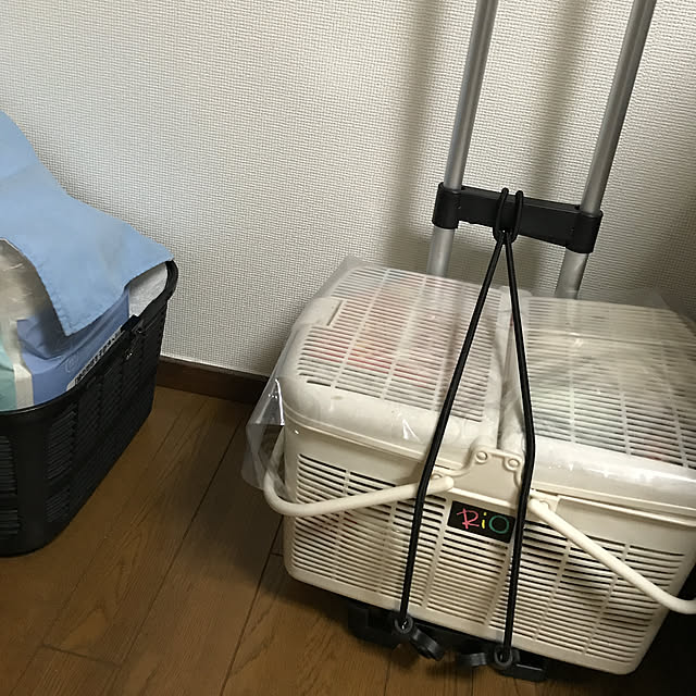 AppleFritterさんの実例写真