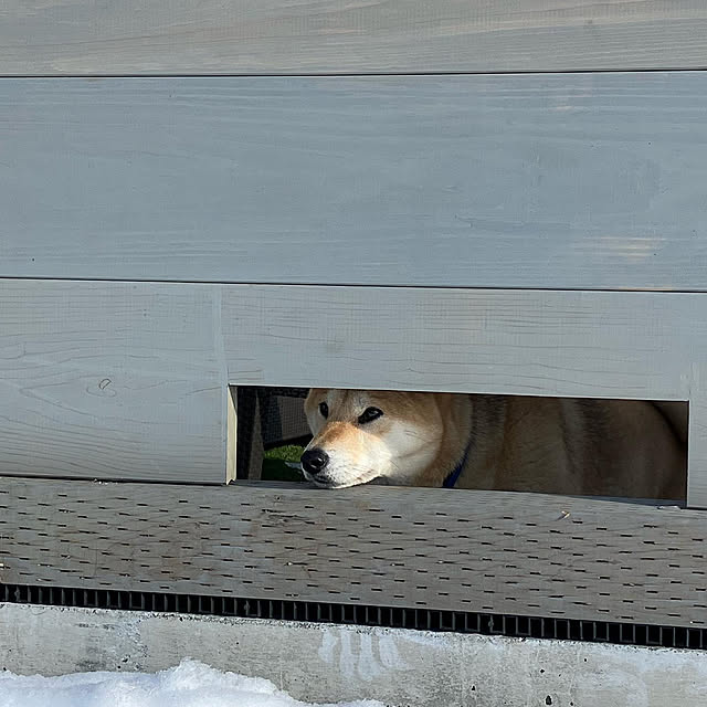 midoさんの実例写真