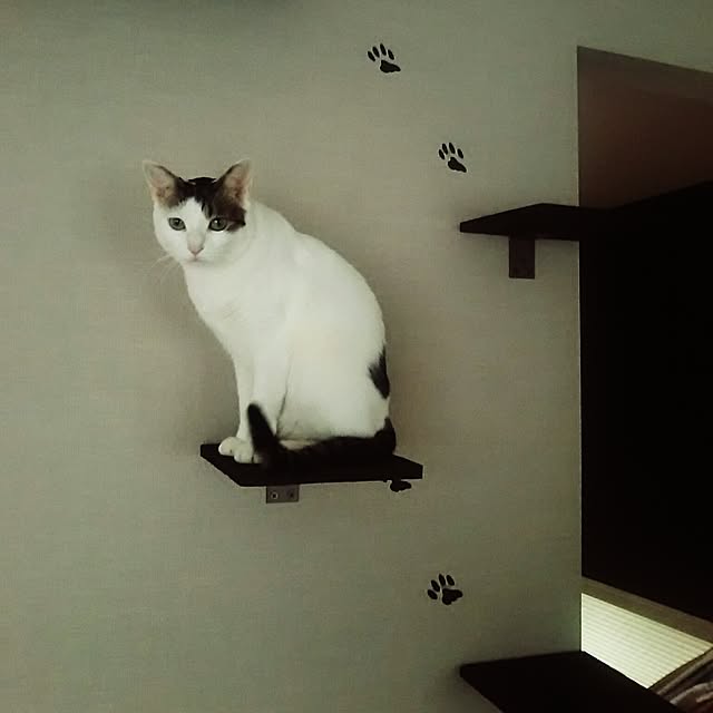 sunnyさんの実例写真