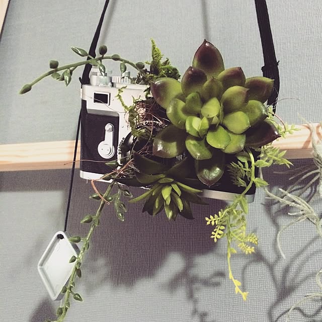 painmomoさんの実例写真