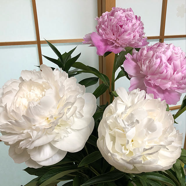 mさんの実例写真