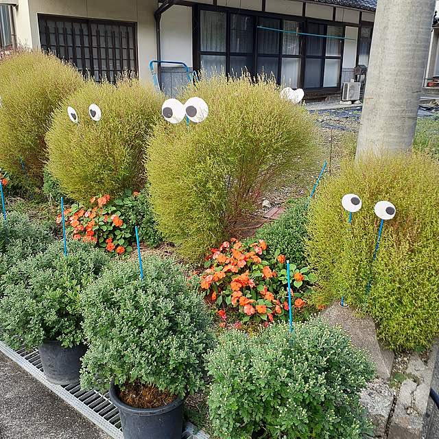 実例写真