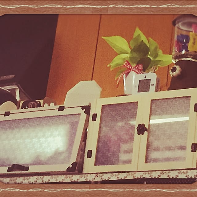 ritさんの実例写真