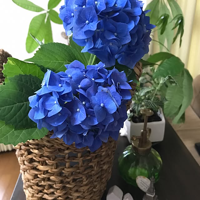 pakilaさんの実例写真