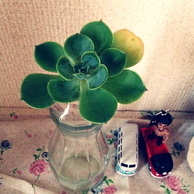 khsr86さんの実例写真