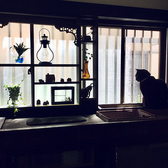 popoさんの実例写真