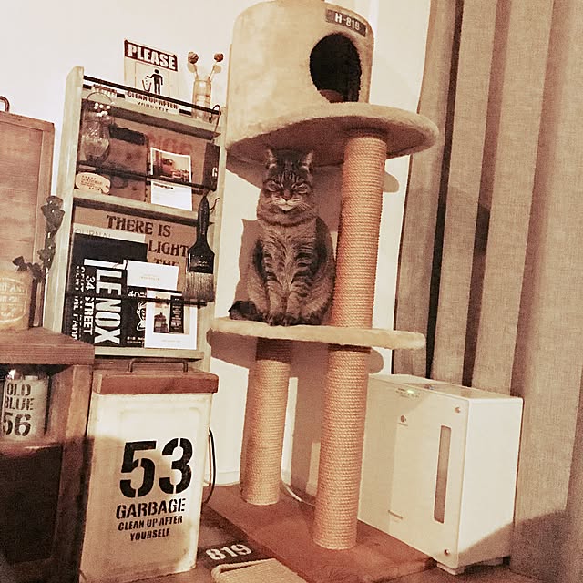 beansさんの実例写真