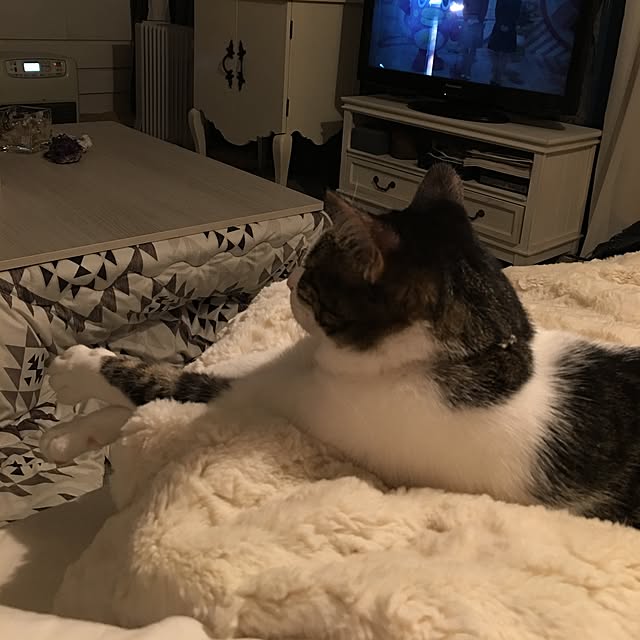Shihoさんの実例写真