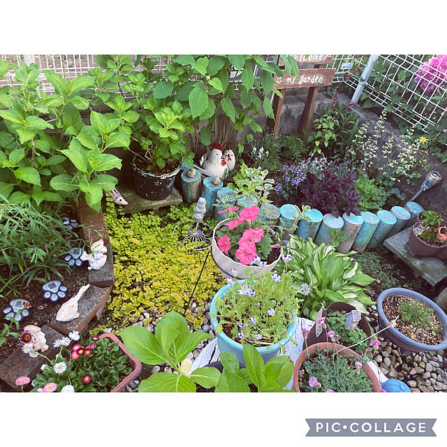 CoCo0617さんの部屋