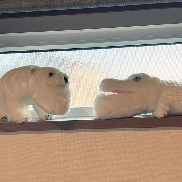 seiさんの実例写真