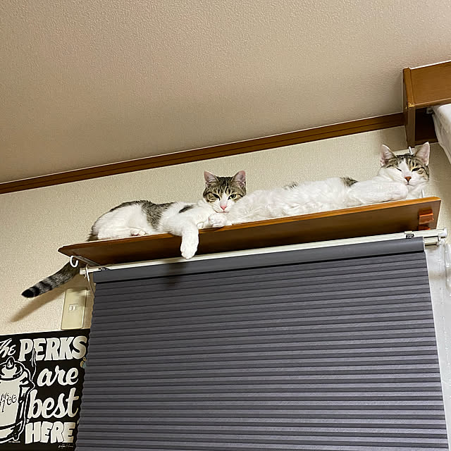 Lufuさんの実例写真