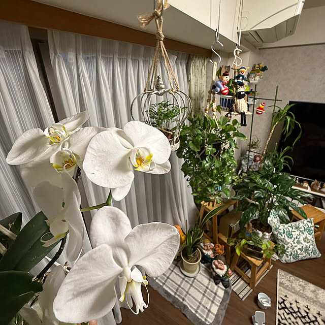Aqettyさんの部屋