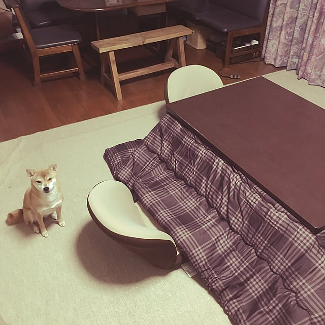 mikusanさんの実例写真