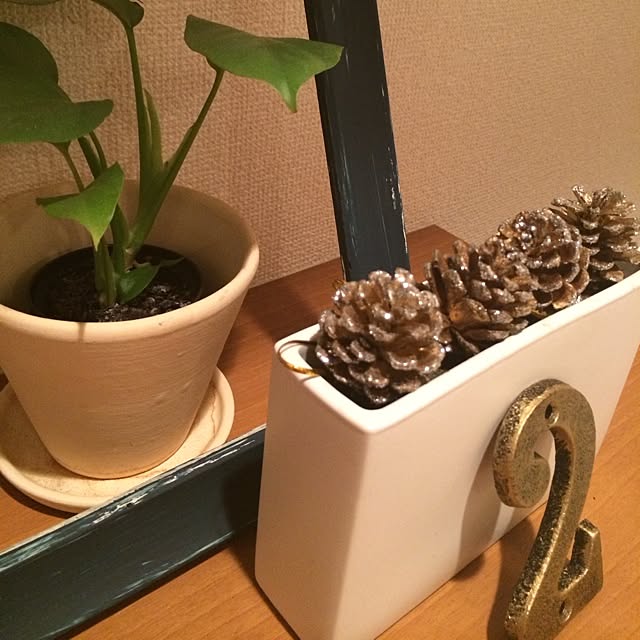 Shihoさんの実例写真
