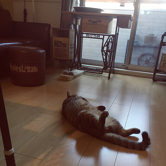 Miechamさんの実例写真