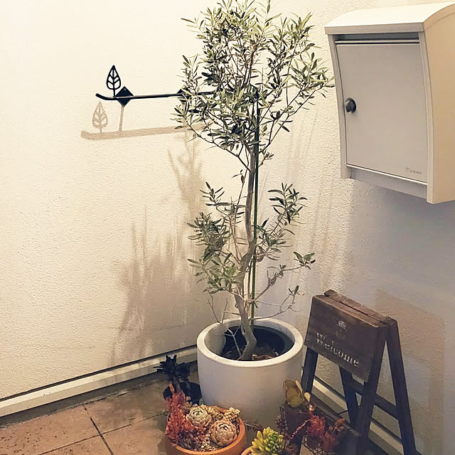 mimicoさんの実例写真