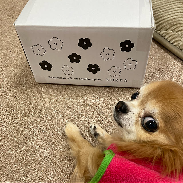 koroさんの実例写真