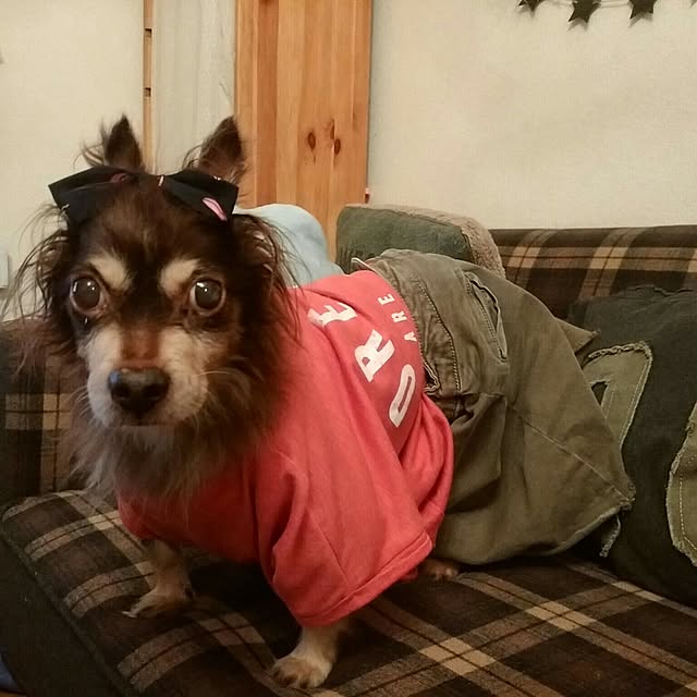 tomominさんの実例写真