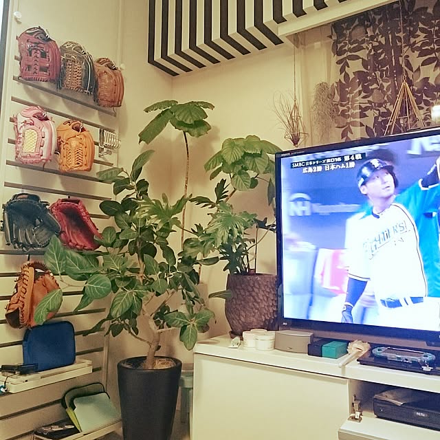 monoloveさんの実例写真