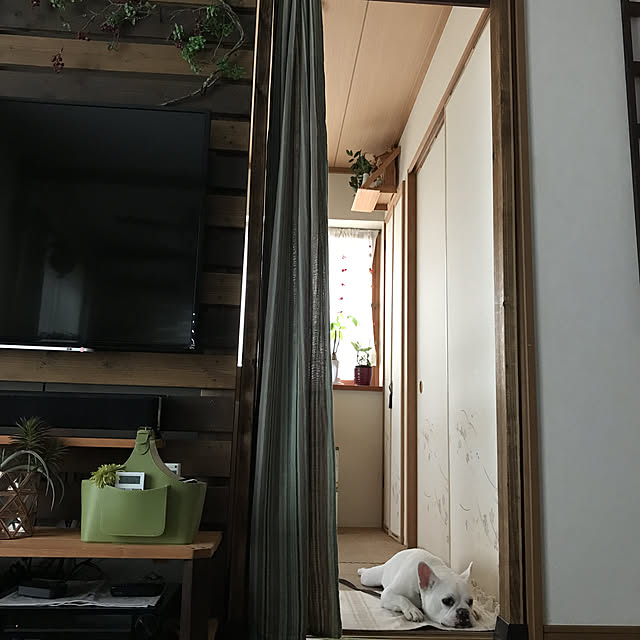 gin_mamaさんの実例写真
