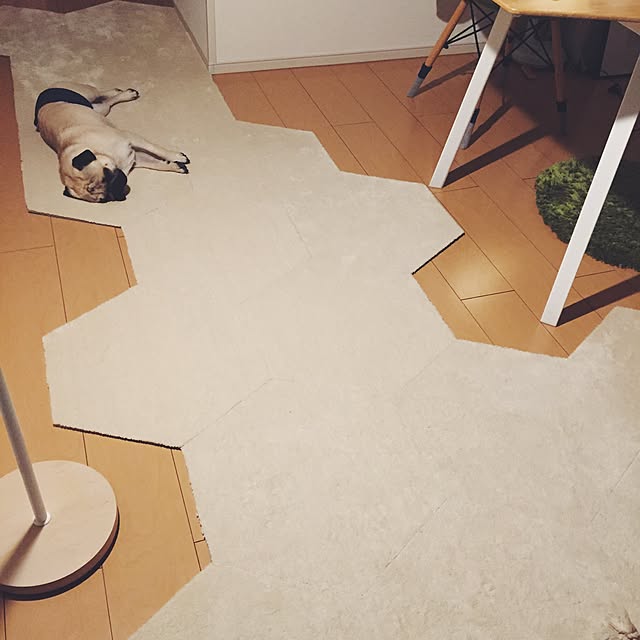 YUIさんの実例写真