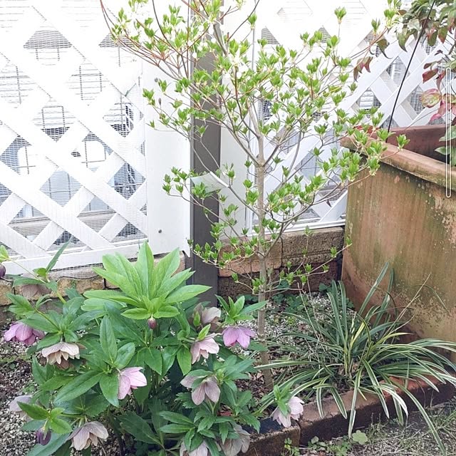 Bienvenueさんの部屋