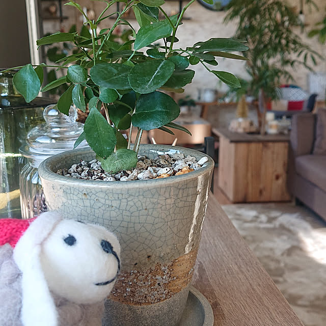 Miyakoさんの実例写真