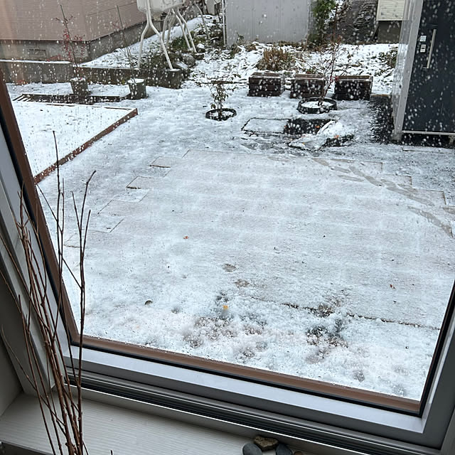 fuuuchan69さんの実例写真