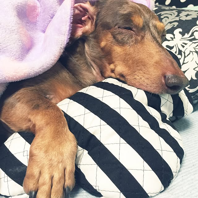 M.E.Gさんの実例写真