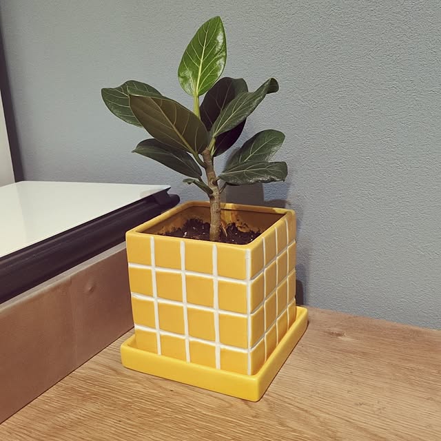 minakoさんの実例写真