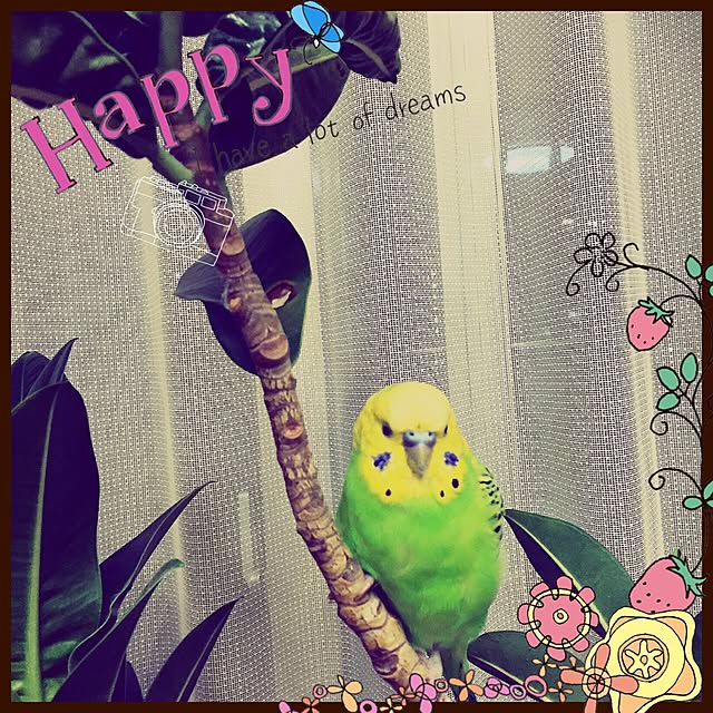 arinkoさんの実例写真