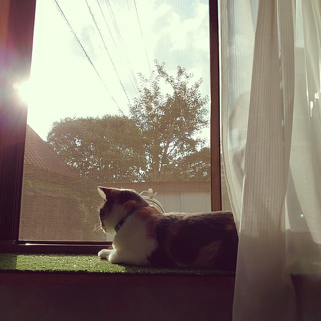 fukuさんの実例写真