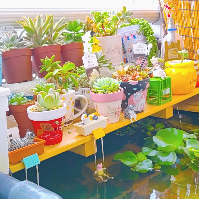 mariaさんの部屋