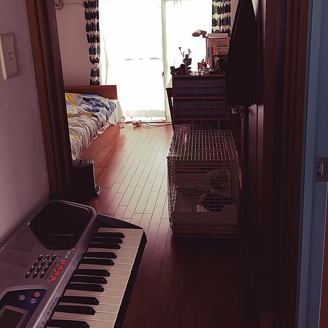 passhonさんの実例写真