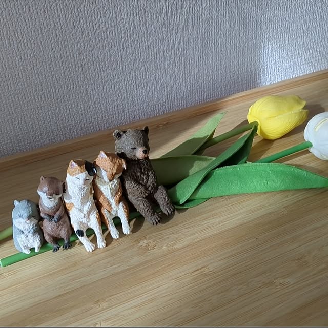 MIKNさんの部屋