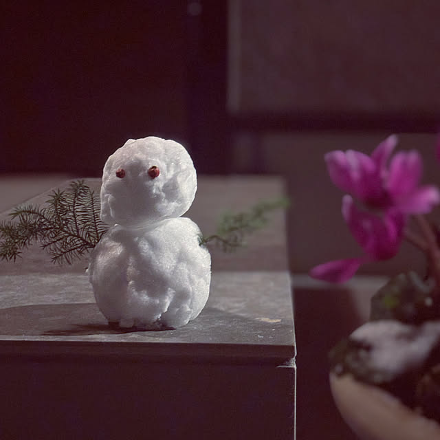 tokimaさんの実例写真