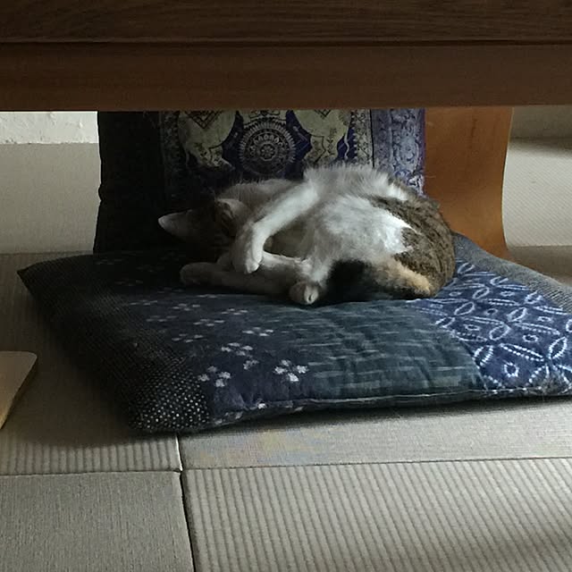 citomaroさんの実例写真