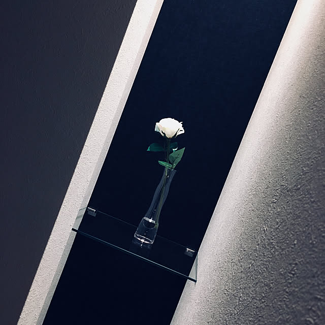 sea28さんの実例写真
