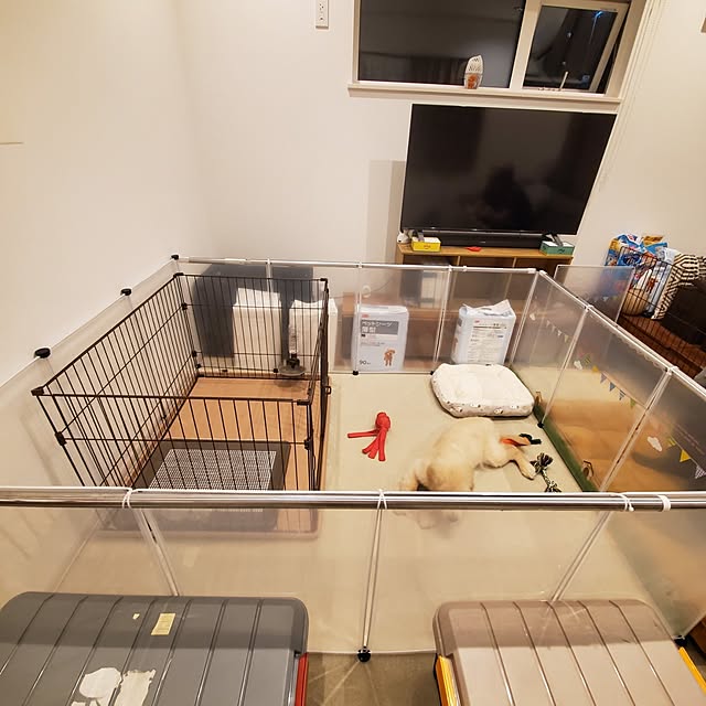 mogさんの部屋