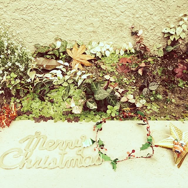 sonpiさんの実例写真