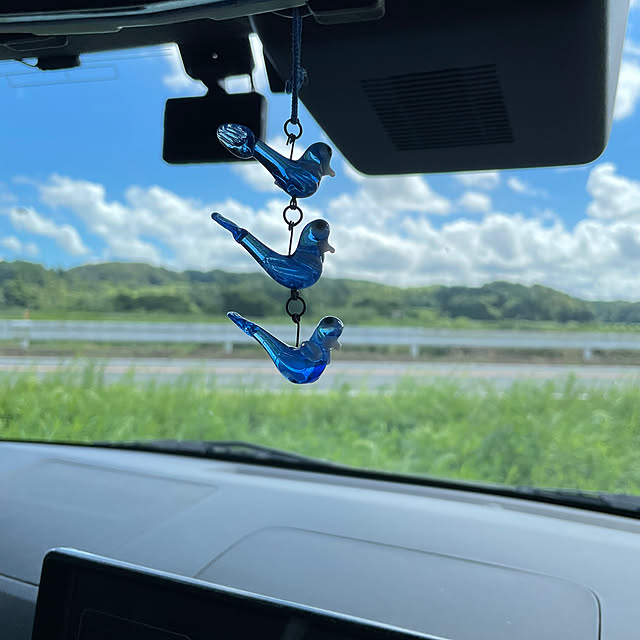 shin0719さんの実例写真